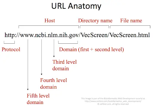 iptv host url